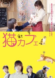 Cat Cafe